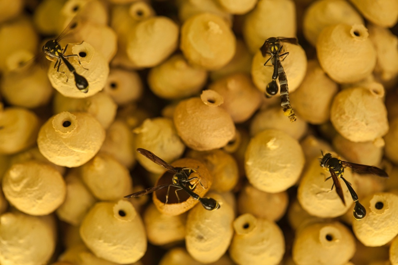Illustration for article titled The Best Biology Photos Of 2014 Will Take You To Another World